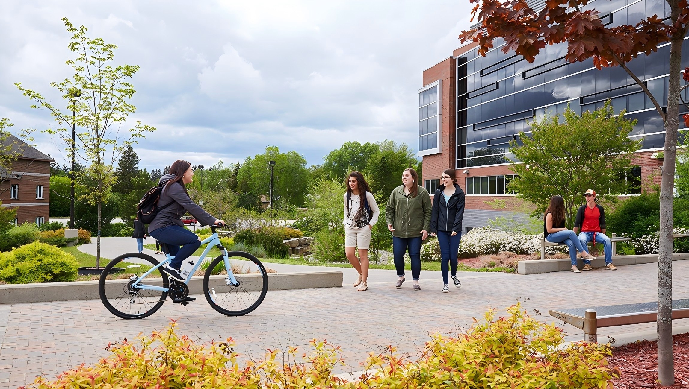 申请类别与资格