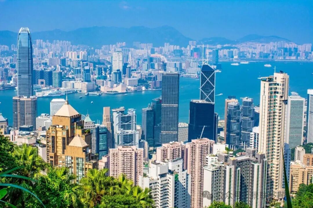 重磅！高才通领衔10项人才计划丨海外人才进驻香港的绝佳选择！